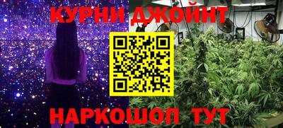 дмт Бийск