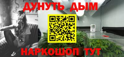 дмт Бийск