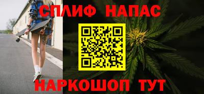 дмт Бийск