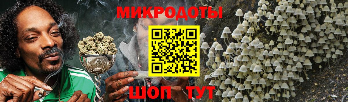 Галлюциногенные грибы MAGIC MUSHROOMS  Вход с VPN  Канаш 